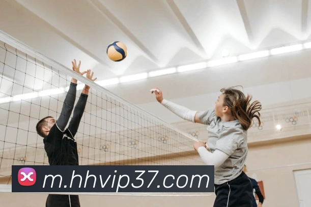 火狐体育官网首页平台生态图